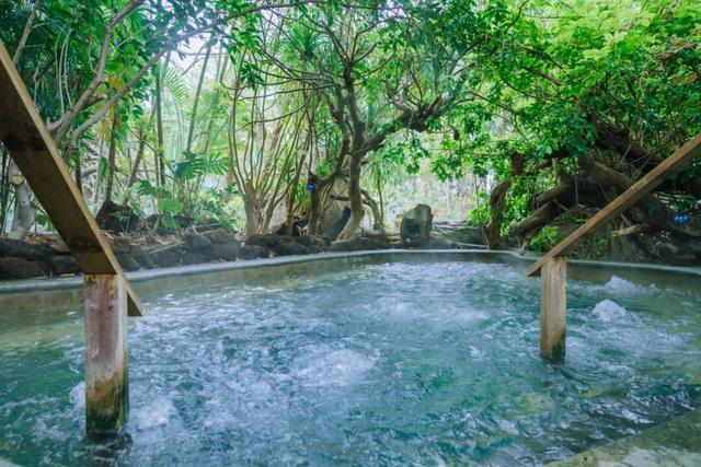 立冬养生局丨赴腾冲荷花温泉，泡森林秘境暖泉，疗愈一整个冬天