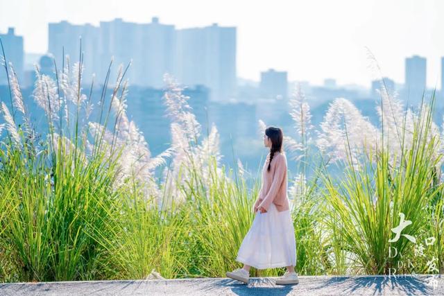 不用跑远,大渡口这个公园每一处都出大片🤩