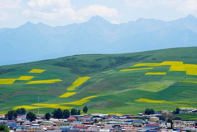 青海门源万亩油菜花海：登上四个观景点，各有风情入画来！