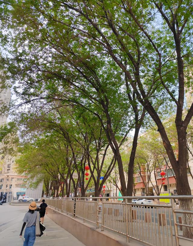 北疆行⑰——逛乌鲁木齐大巴扎