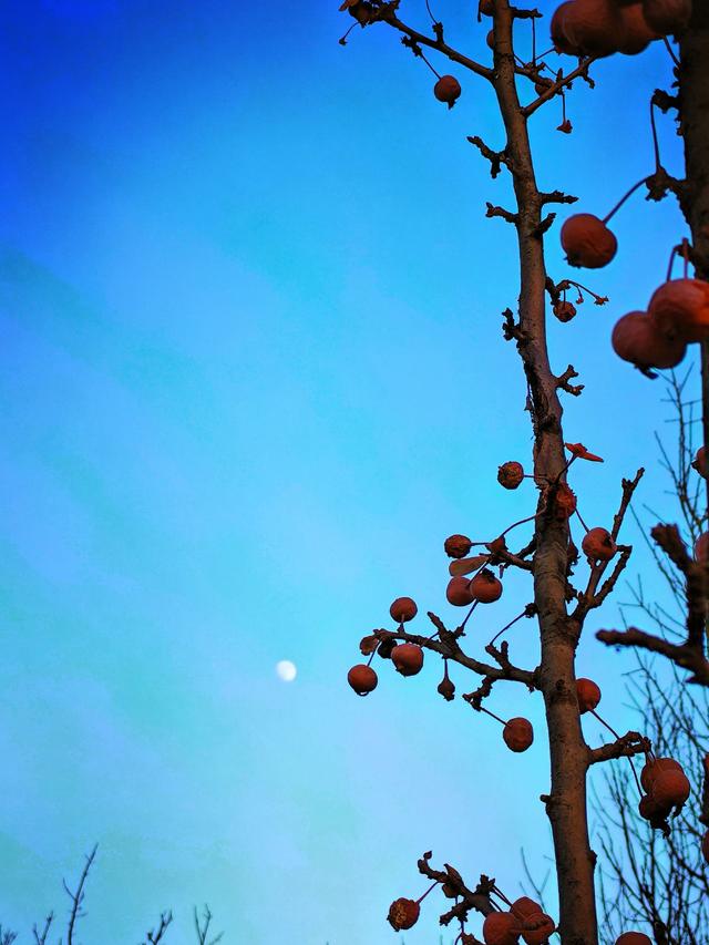 旧时光里的温暖，是奶奶的土药方