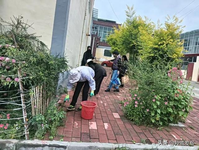 羚城夏日焕新：州市联动为香巴拉旅游艺术节 “梳妆”