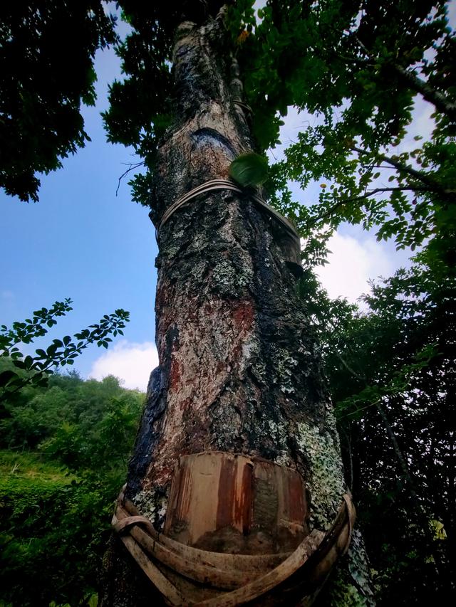 大山的馈赠 远古的传承