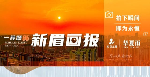 天府大道 乌桕已红透半边天