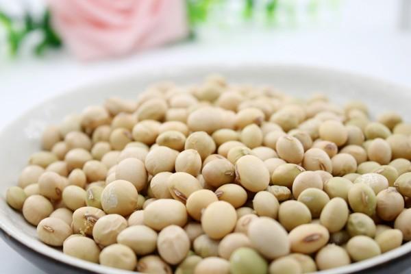 想要“精”力旺盛？快来get这些补精“神器”食物