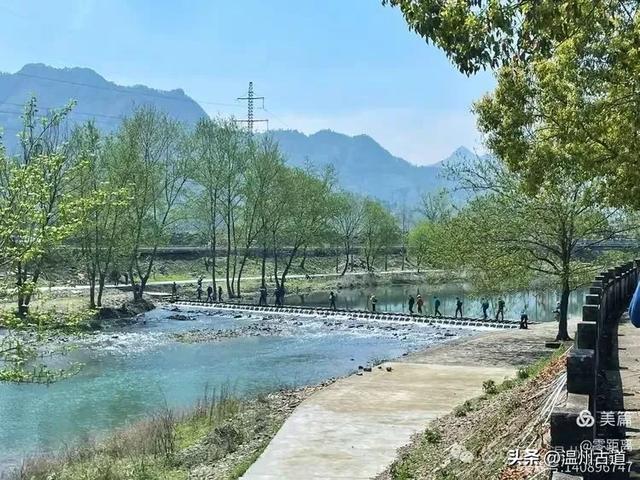 藏于浙江5A景区内有一处“十里铁甲龙”,洞穴众多形态奇特
