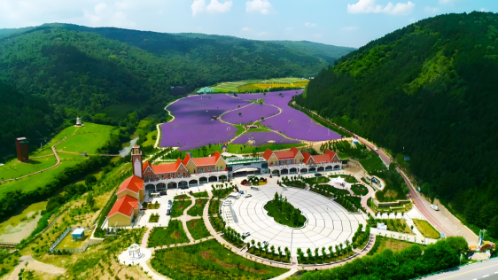 这么凉 那么近~快来合水县开启一场 26°C 的避暑之旅吧！