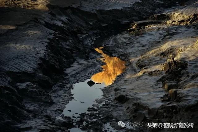 【塔里木河的记忆】塔里木河，再次唱出生命的歌（上）