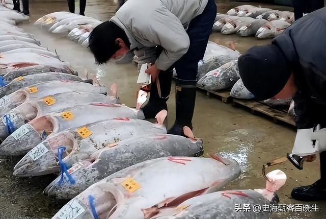 全面停止进口，一票否决！日本彻底傻眼，三十五年布局白费！