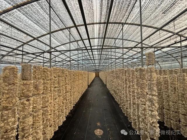 太行深处见初心