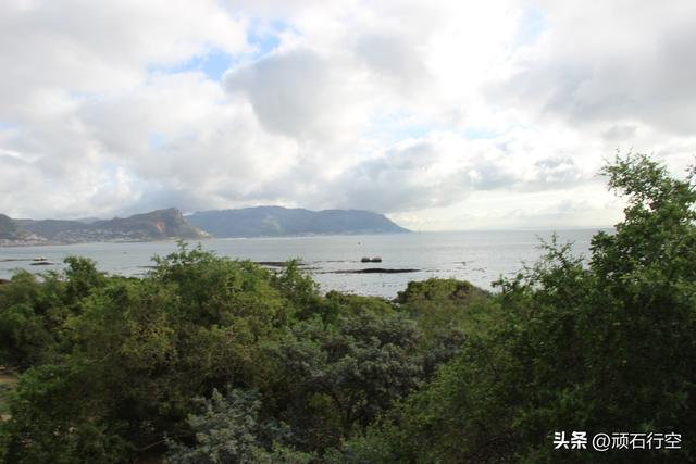 南部非洲：南非开普敦企鹅岛