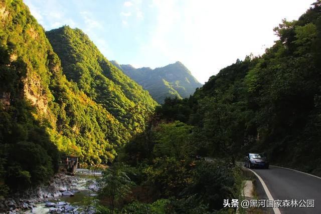 初秋美景大放送,自驾黑河,感受秋天的第一份浪漫!
