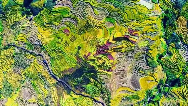 地名里的红河 | 188万人次打卡！这座边疆小城，不仅“红”，而且“火”