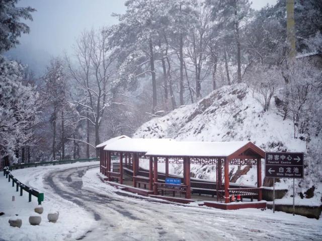 又来？这样的随州，你见没见过？