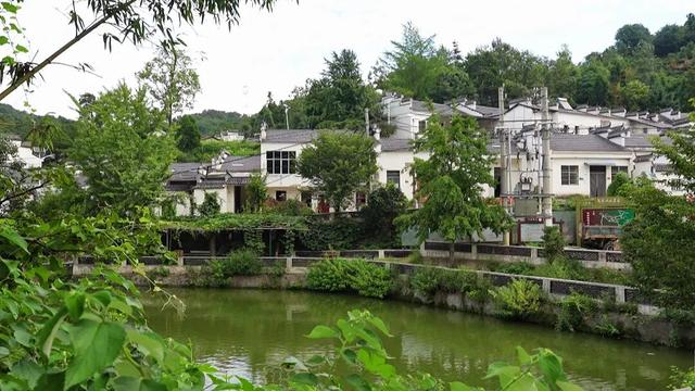 孝昌笔架村：红色热土上的绿色蝶变