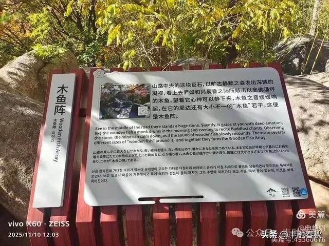 青岛崂山华严寺:山海间的禅意清响|申艳娟
