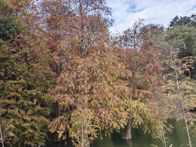 天啊，白云难爬吗？