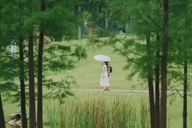 不领证、不生娃、不同居，只办酒席应付父母！新型婚姻关系出现了图片