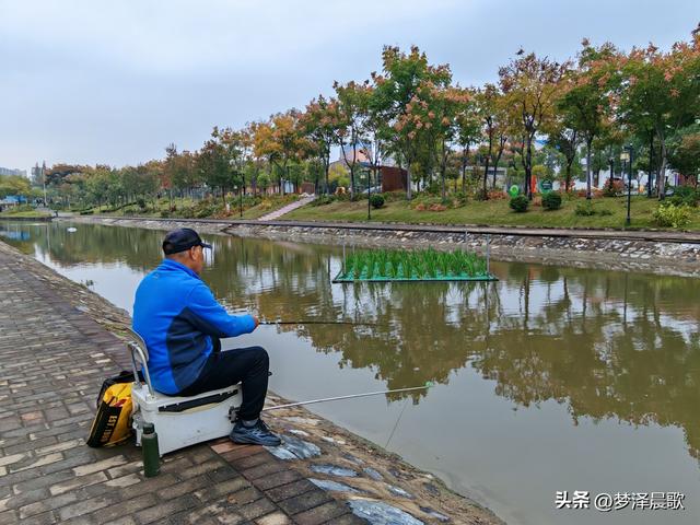 云梦生态浮岛的三重奏