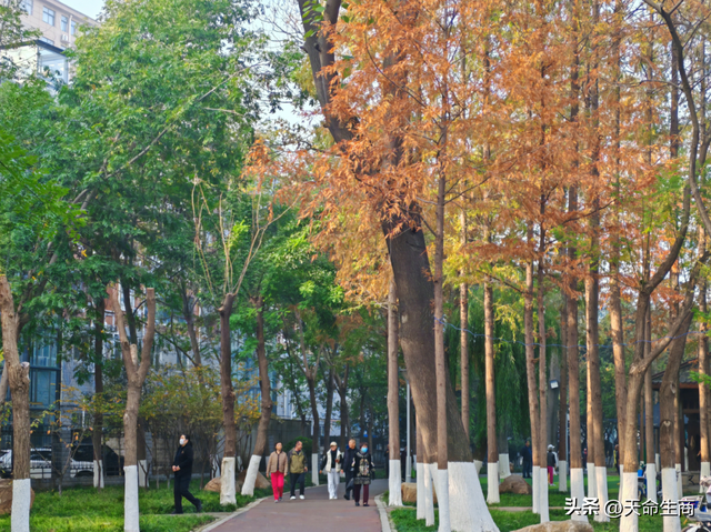 商丘：一城斑斓入画来