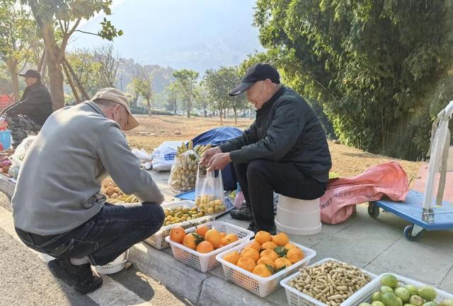 【冬季暖阳 凉山不凉】德昌海花沟康养旅游联动发展新实践
