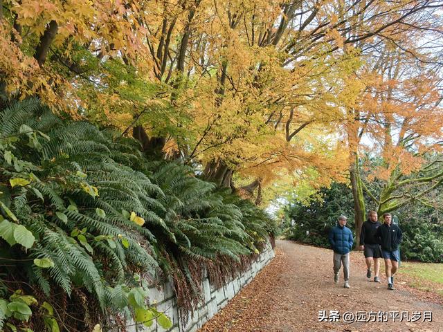 温哥华游记（五）