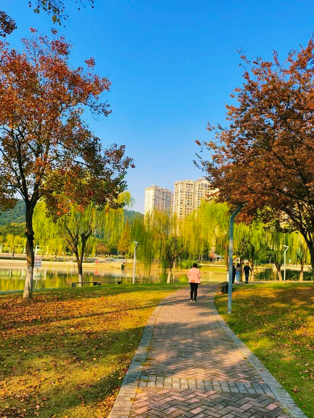 逛起来！8小时10个公园！