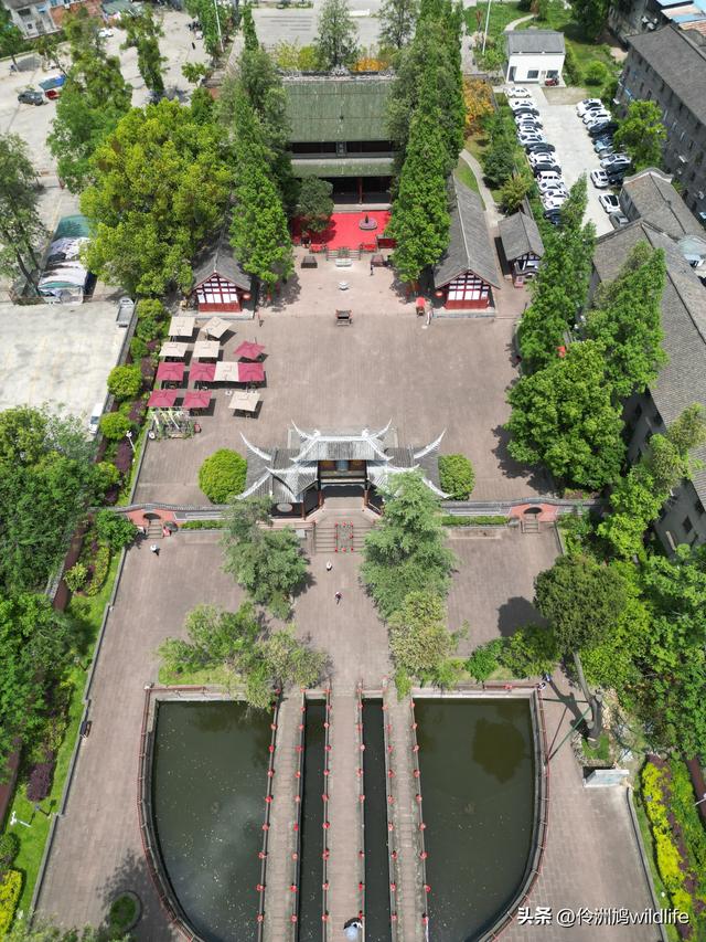 成都古镇（15）郫县唐昌古镇崇宁公园·大椿巷