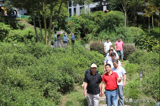 特别关注丨金华市科普作协开展全国科普月金华山科普创作采风活动