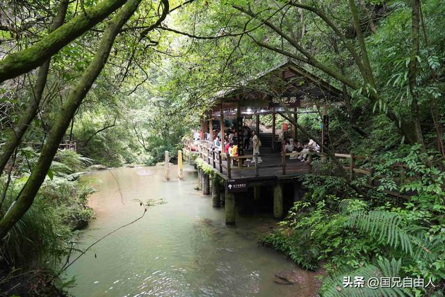 “渝黔生物基因库”黑山谷游记