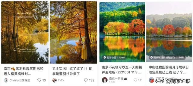 给个准信！盼了又盼的秋日“顶流”全部上线