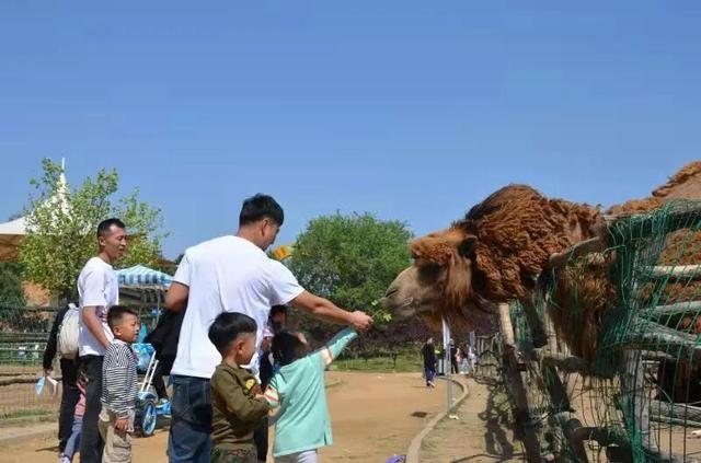 潍坊人有自己的“疯狂动物城”！冲！冲！冲！