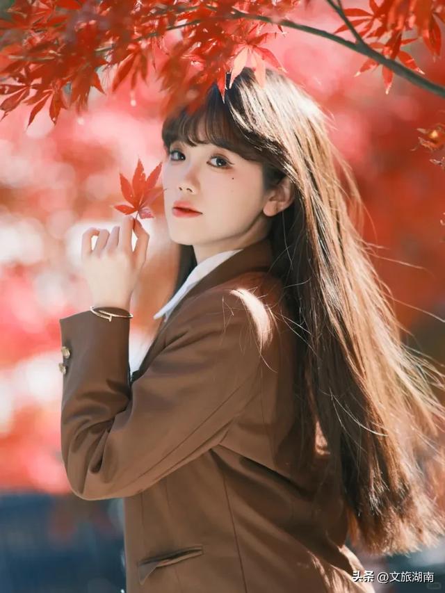 红了！湖南“追枫”地图更新