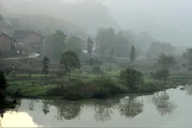 到了清明节才知道，父母是“一场轮回”图片