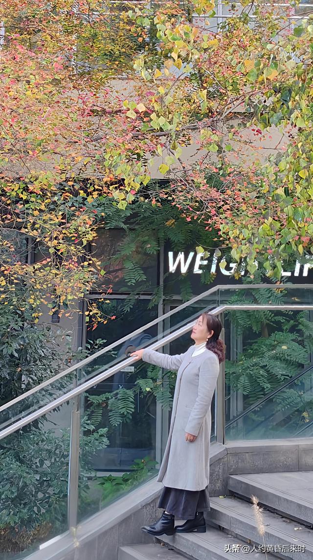 这几日的阳光很给力，银杏、乌桕、水杉相继上线。