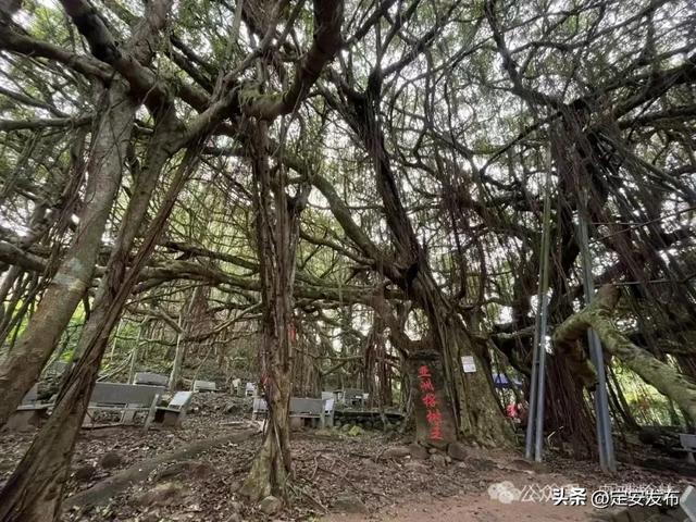 定安首个环岛旅游公路骑游服务点落户翰林 沐塘咖啡开启“咖啡+骑行”融合新篇