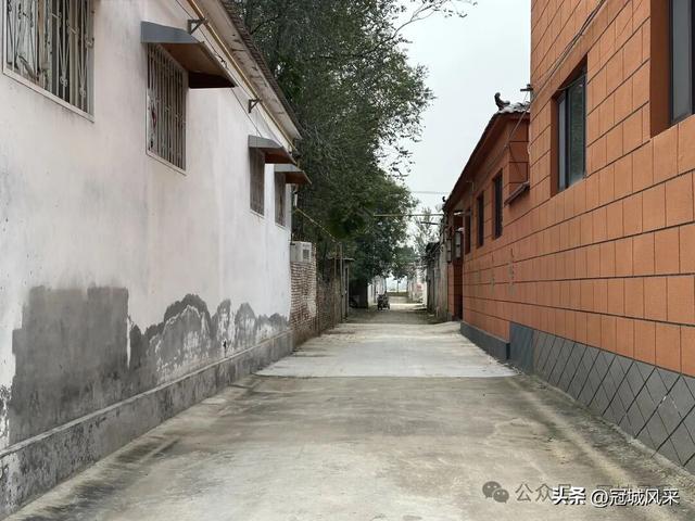 冠县乡韵·桑阿镇野场村