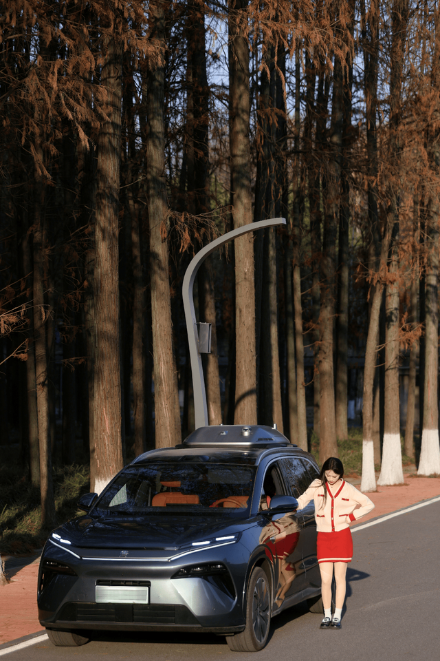 冬日寻一处静谧：与唐L同游棕树小道纪实