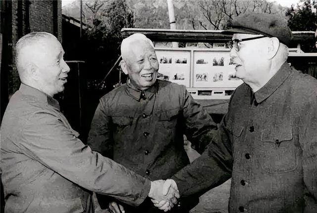 84年叶剑英病危，中央准备追悼会时，钟南山临危受命救回叶帅