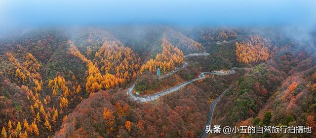 光雾山赏红叶实测攻略！中国红叶第一山，50 天赏期 + 3 大景区全吃透