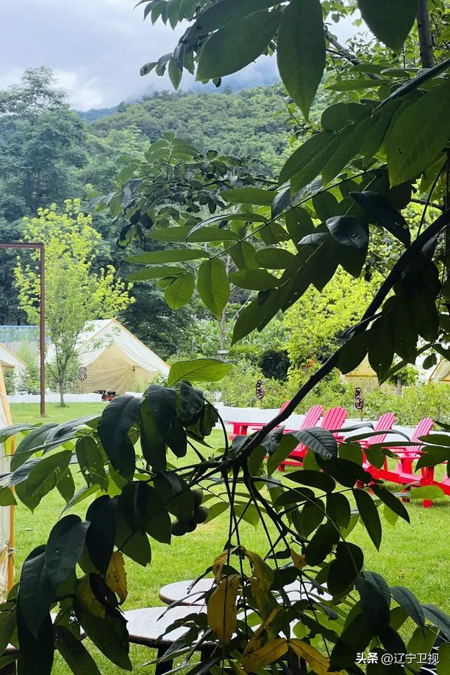 走!去本溪的山里过夏天,随手一拍都是《国家地理》同款