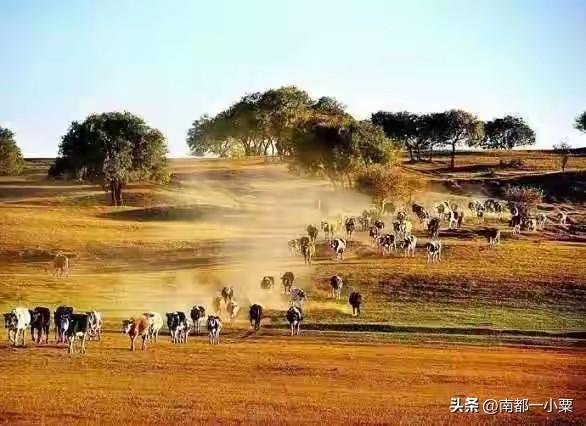 甘肃武威，四大古镇