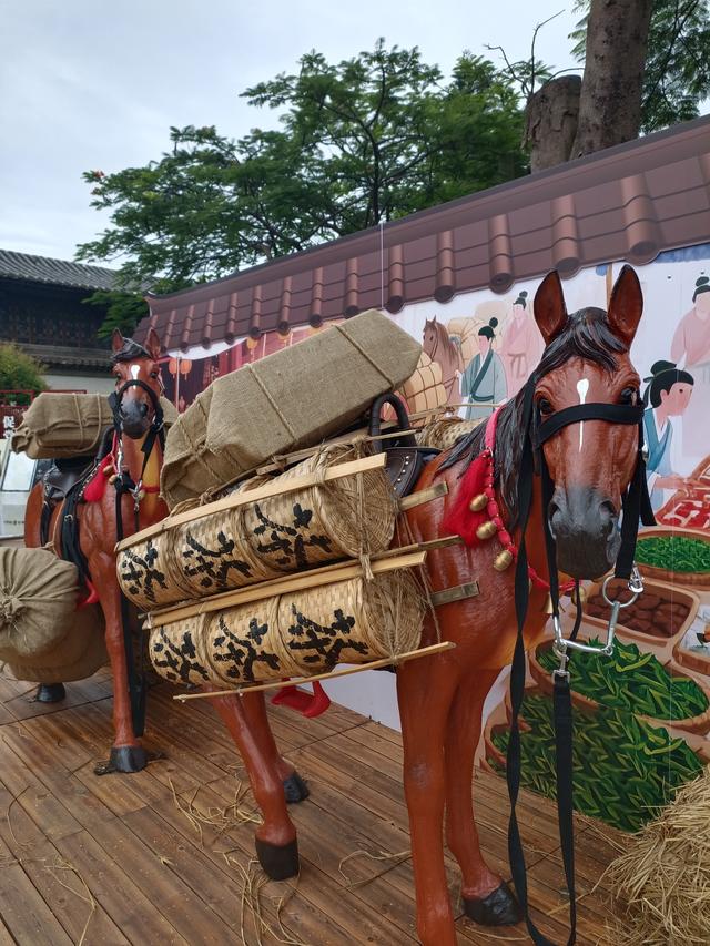 滇游行纪之四：朱家花园与团山民居