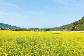 出格8-10篇图片