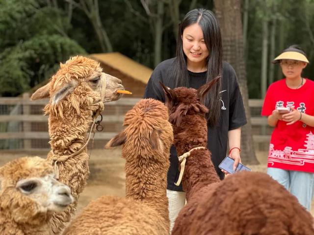 潍坊一4A级景区官宣！永久免门票啦！