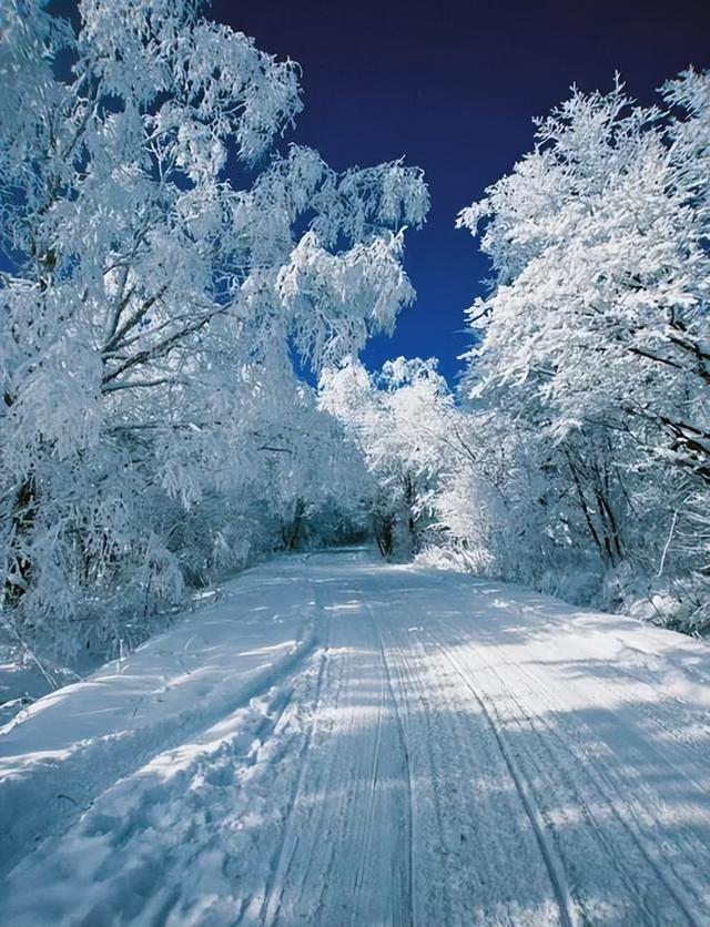 11月的长白山，才是冰雪童话世界的顶配！