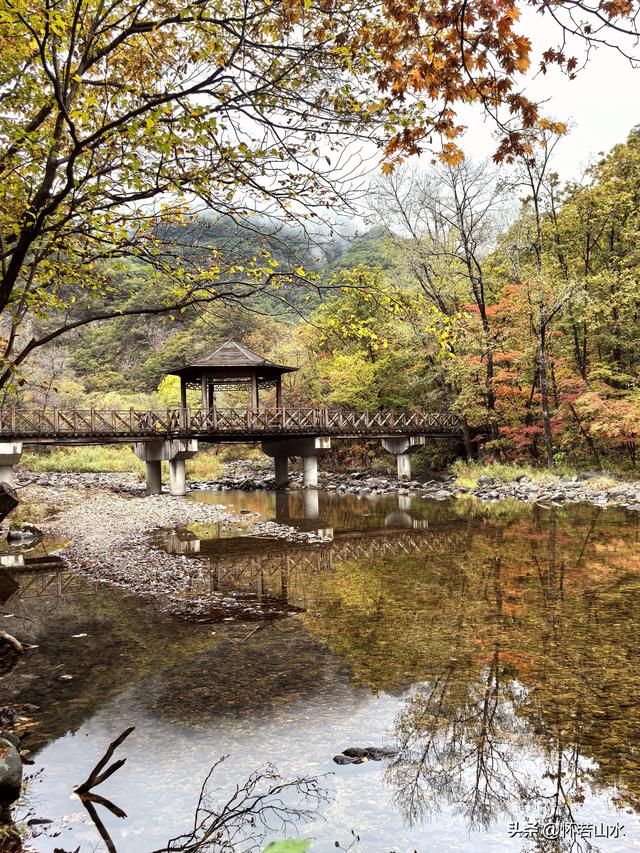 2025辽宁赏秋之旅日记(2)——游览丹东蒲石河森林公园