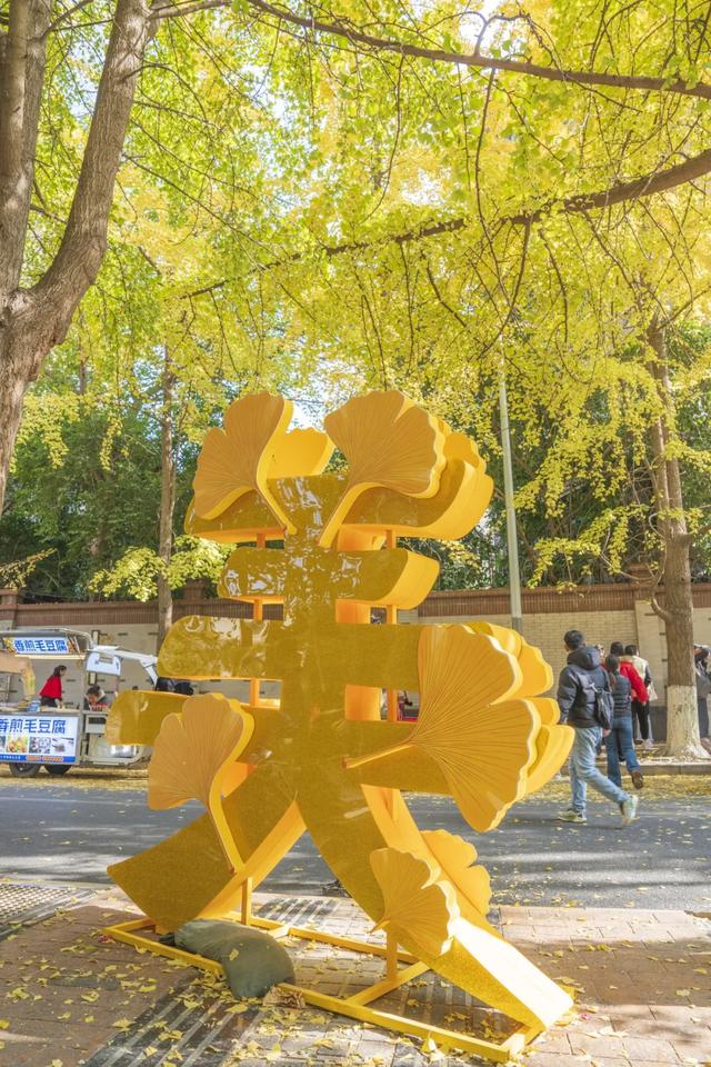 这个周末来银杏路，百张骑行卡免费送！