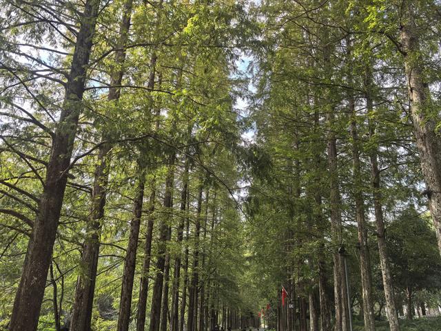 记录 | 秋行梧风洞