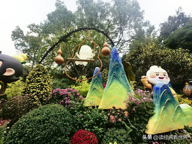 杭州植物园的菊花展——一场关于菊花的饕餮盛宴（二）